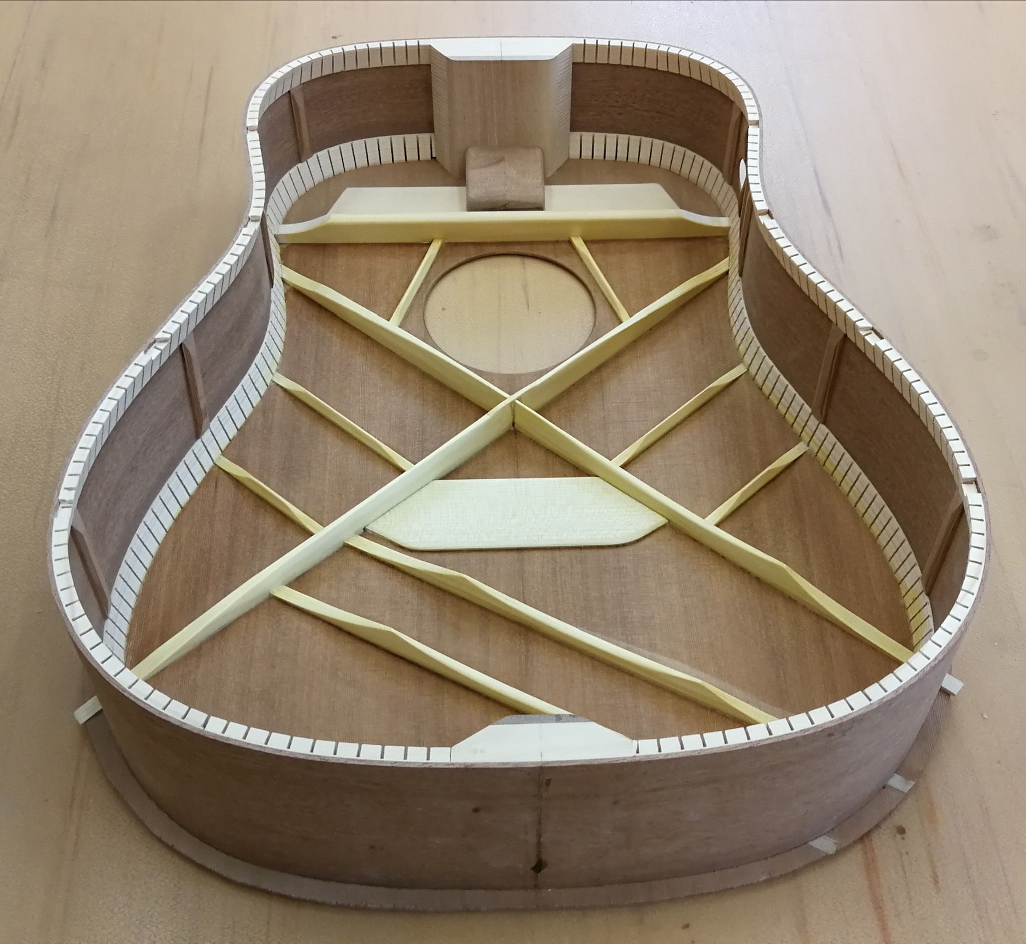Hybrid bracing D1.0